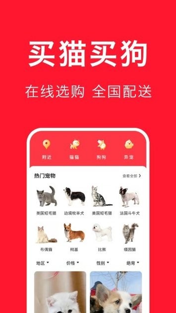 TA：汉堡寻求与阿森纳协商法比奥·维埃拉的转会费，球员愿意留队